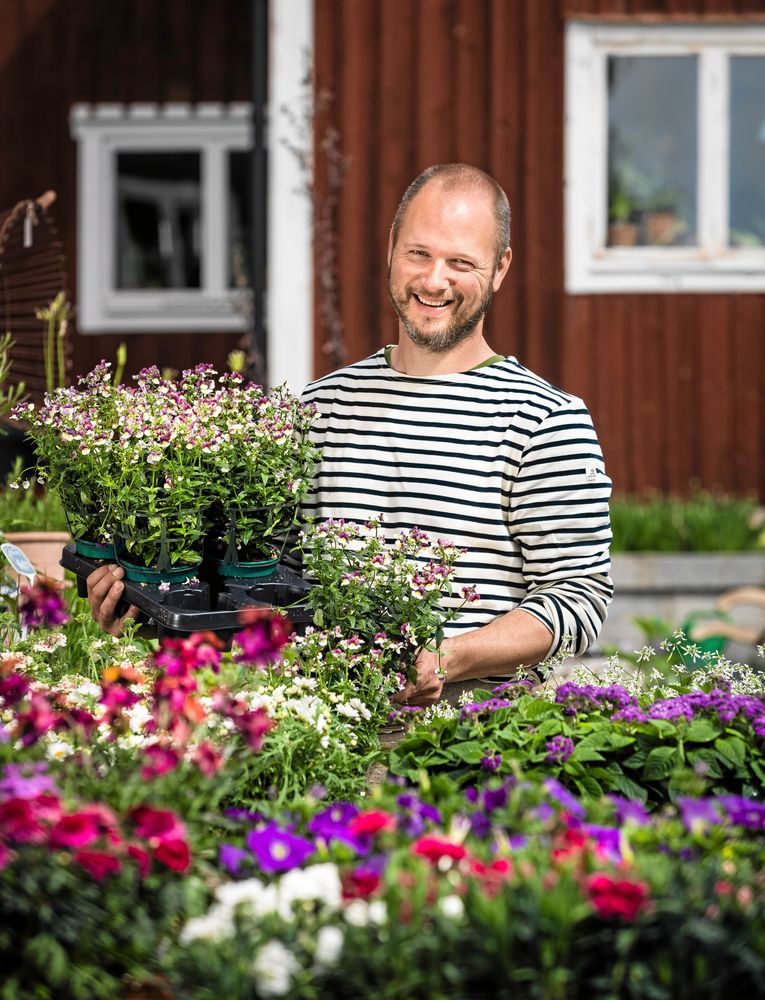 MÄSTARE PÅ VÄXTER. Andreas Graveleij med mängder av sommarblommor utanför Kniva trädgårdsbutik. Foto: Göran Thorén