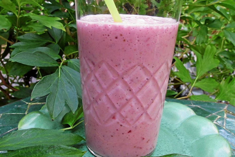 Ett superbär med superkrafter. Gör en smoothie av tranbär. Foto lillemor hvitfeldt