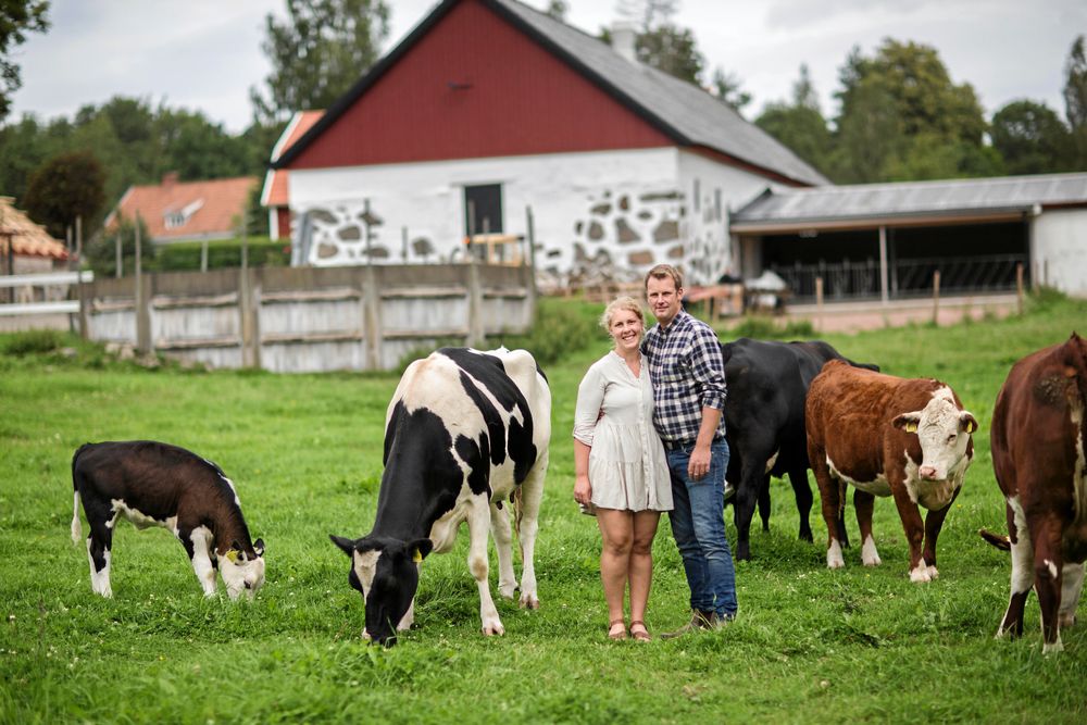 Ida Truedsson och Jonas Kvist tog chansen att köpa en hel gård tillsammans i skånska Fegelstorp.