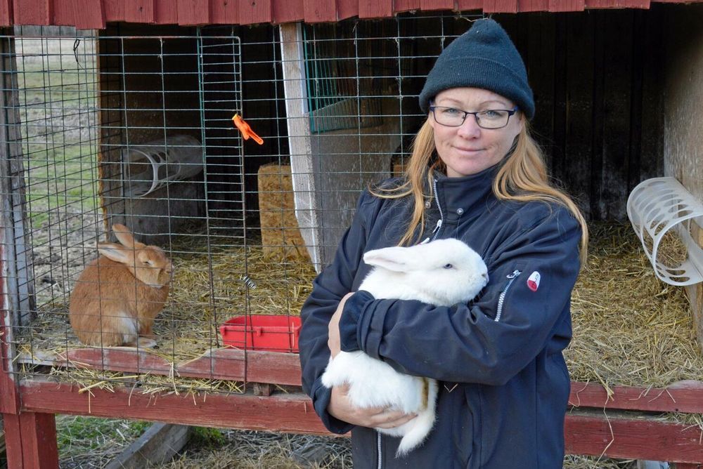 Malin Sundmark är ordförande i Kaninproducenterna och en av många utsatta djurhållare.