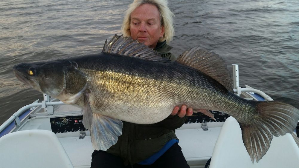 Berra Mårdhs bottenhugg gav den här präktiga gösen. Vågen stannade på 9,32 kilo.