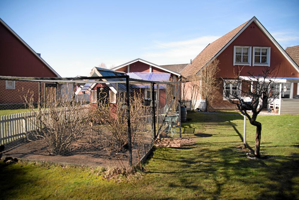 Hönshuset anno 2009 pryder sin plats i trädgården. Foto: Pia Gyllin