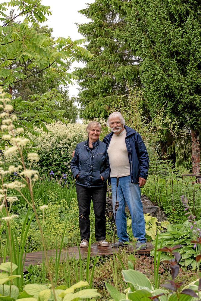 Inger och Ove Fredriksson i Söderås har skapat sig en egen sagoskog.