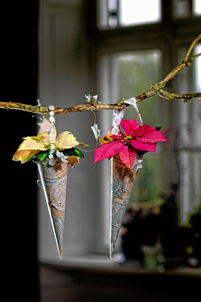 Några strutar med blommor i. Julstjärnorna står i små minivasen inne i strutarna. Blomsterfrämjandet/Stars for Europe