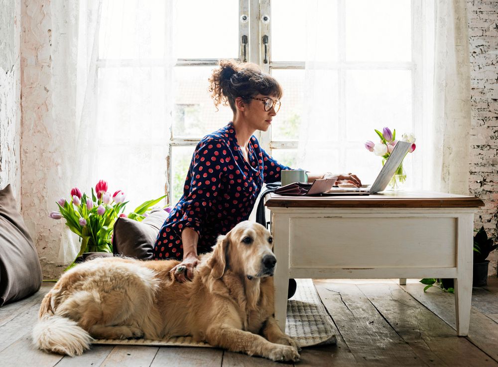 Om hunden fick följa med till jobbet skulle arbetsdagen kanske vara ännu behagligare!