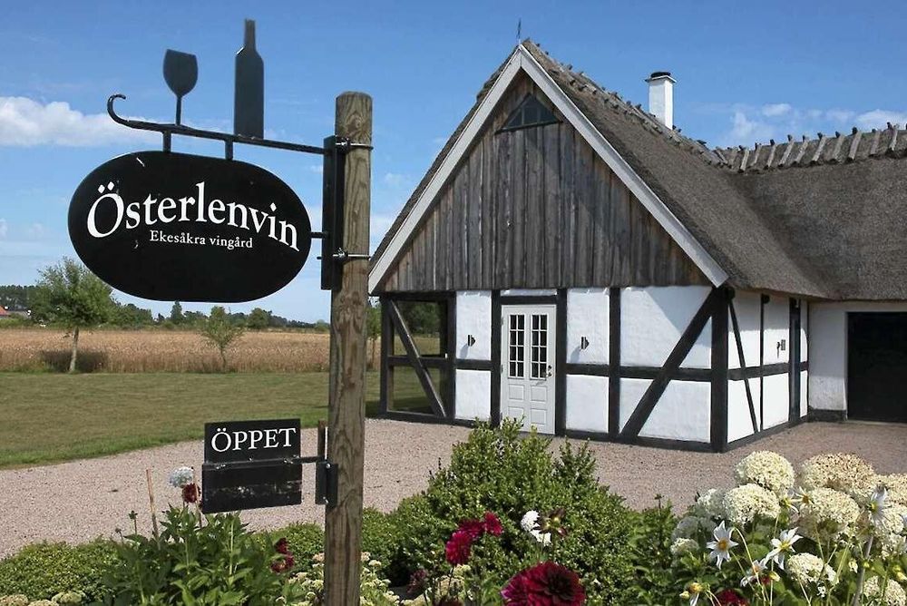 Österlenvin är en av få svenska vingårdar och ligger i ”Sveriges Provence”, på Österlen.