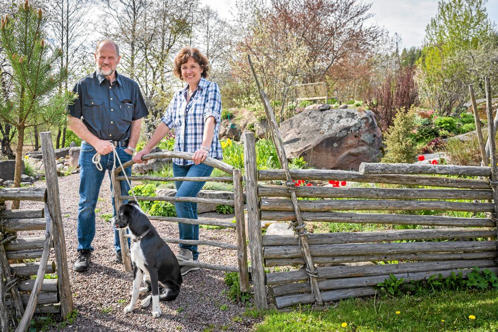 Rune och Ann-Cathrine gillar sitt nya liv med handelsträdgården efter 30 år som mjölkbönder.