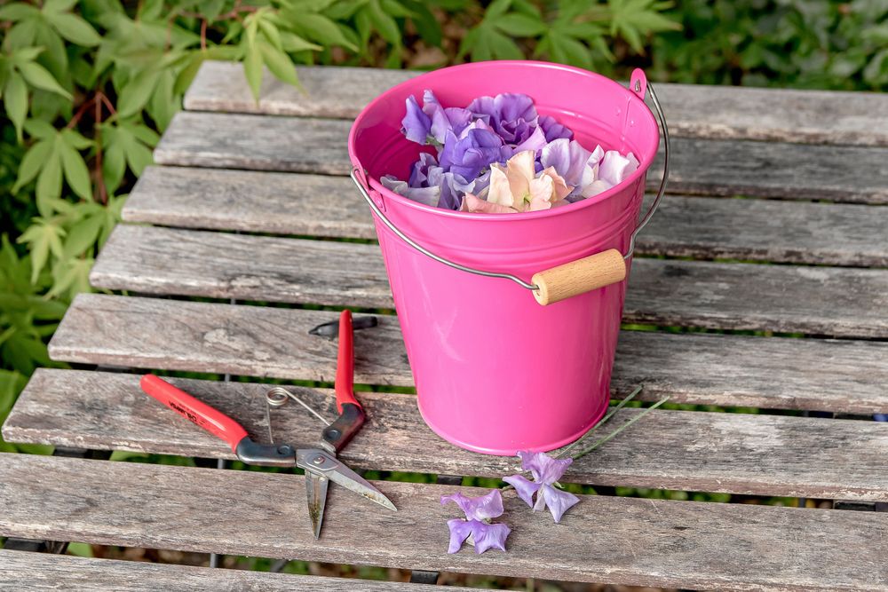 Trädgårdsbord med rosa hink full av blomblad och en sekatör bredvid