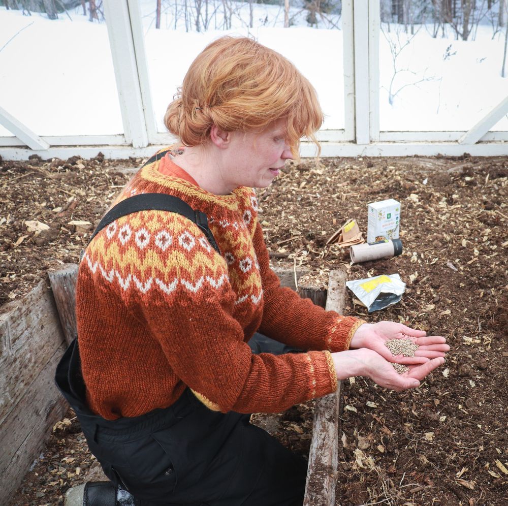 Anne i växthuset sår frön i jorden.