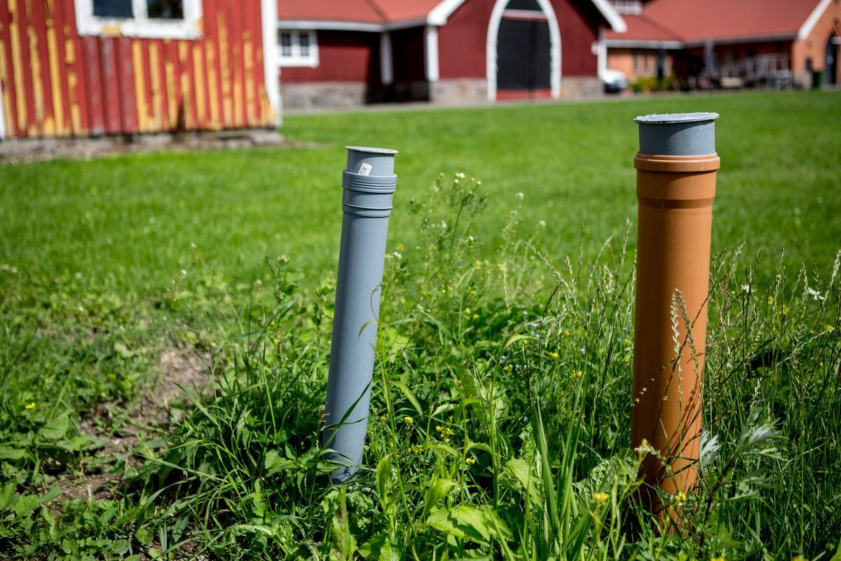 Grått och orange rör sticker upp ur gräset framför röda ladugårdsbyggnader