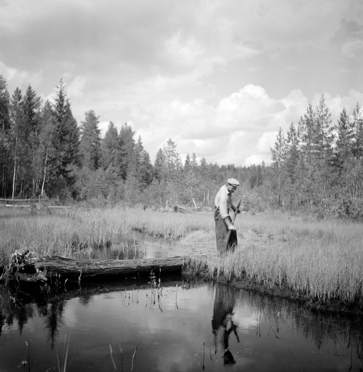 Man står med lie vid skogsklädd myr intill en tjärn.