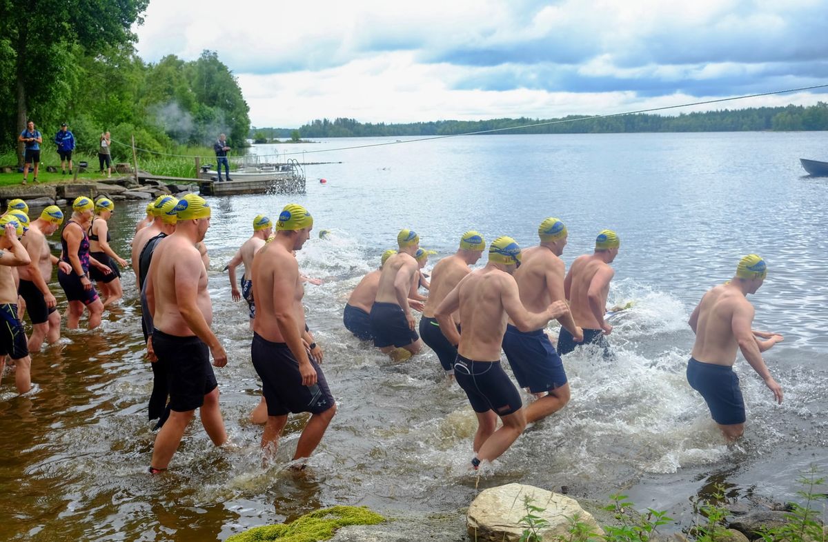 Grupp triathleter springer ut i en sjö med badmössor och våtdräkter