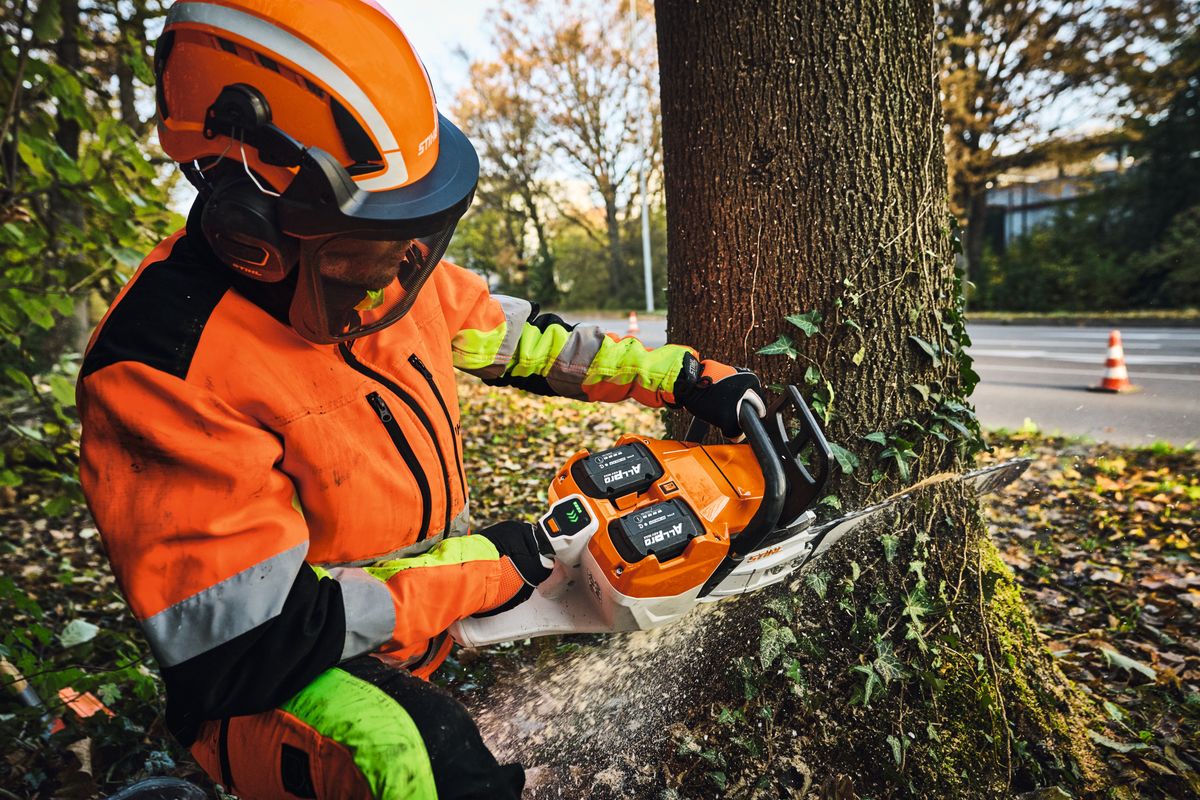 Arbetare i skyddsutrustning fäller ett träd med motorsåg vid vägkant