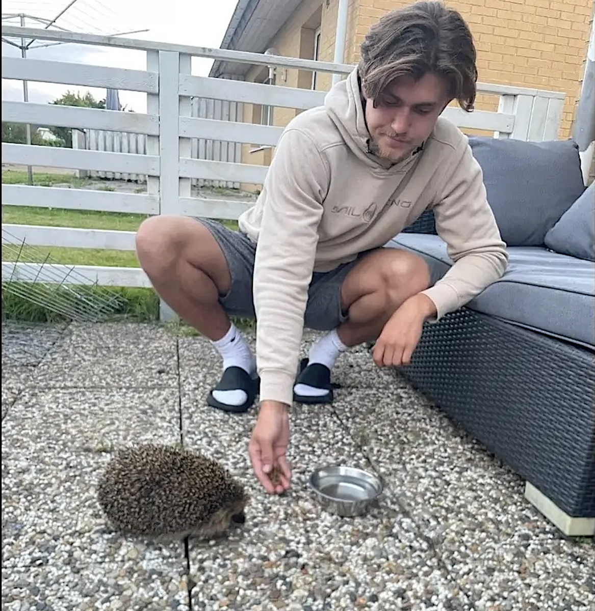 Ung man matar en igelkott på en uteplats med en skål vatten bredvid