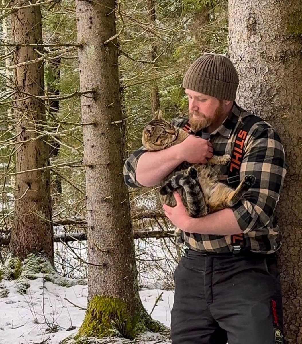 Skäggig man i skog håller en stor randig katt i famnen på snötäckt mark