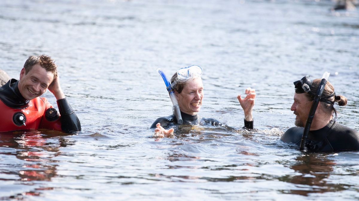 Sven Norman, Sara Elfvendahl och Andreas Broman i våtdräkt skrattar tillsammans i vattnet med snorkelutrustning