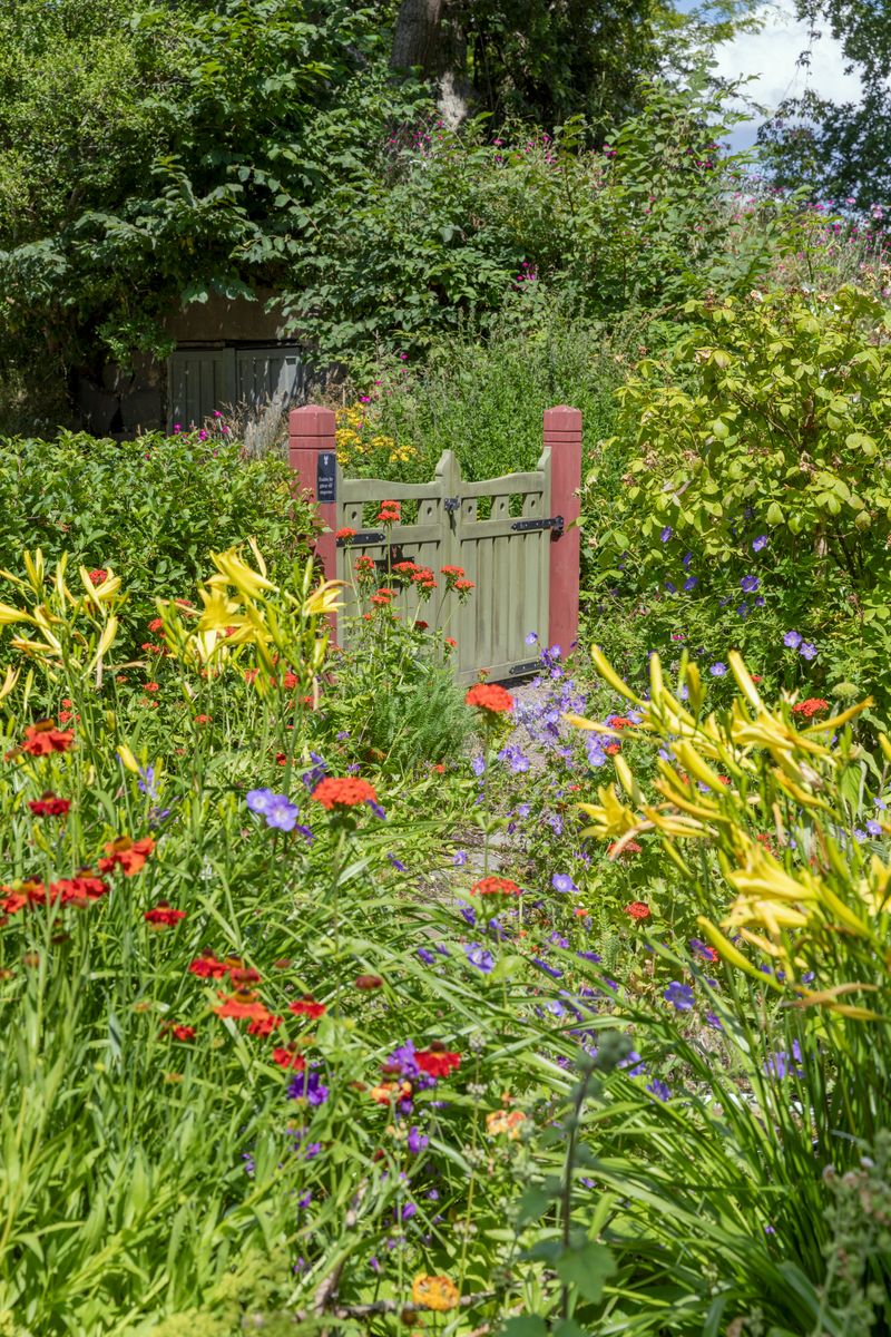Tjolöholms allmogeby. Färgsprakande blomsterprakt.