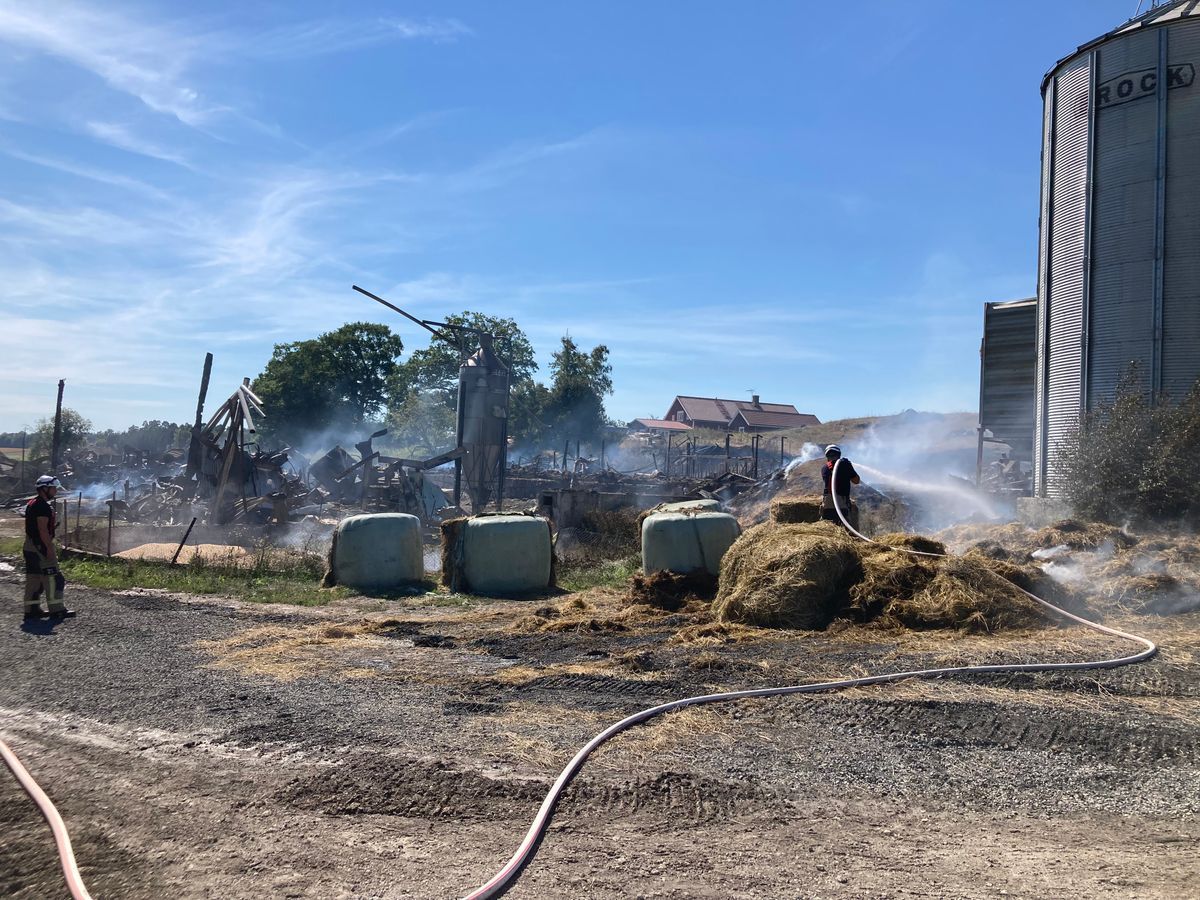 Brandhärjad gård där brandmän släcker rykande höbalar vid laduruiner