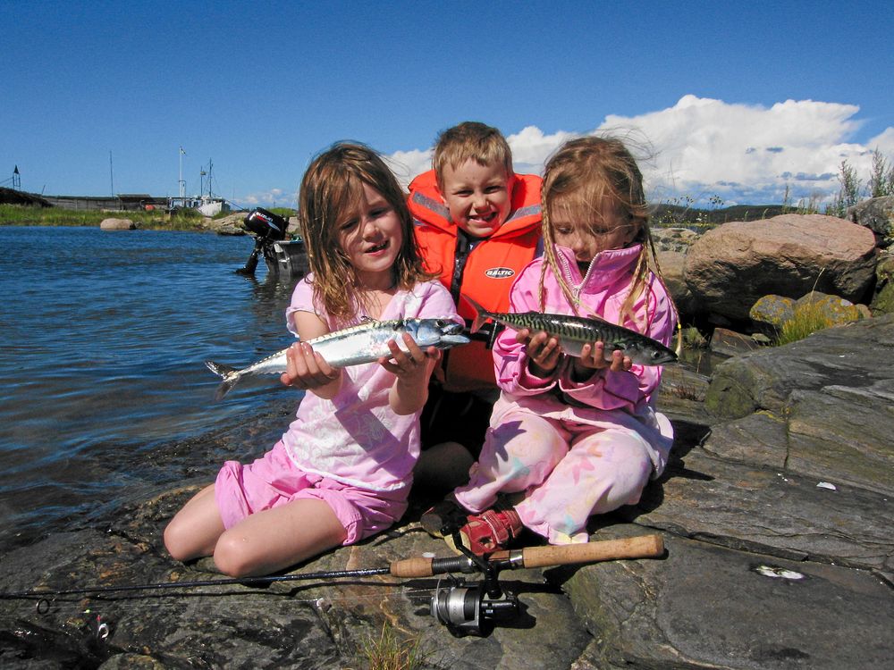 FISKE FÖR ALLA. Makrillfiske är kul för hela familjen, och bara man hittar fisken så brukar den nappa ordentligt.