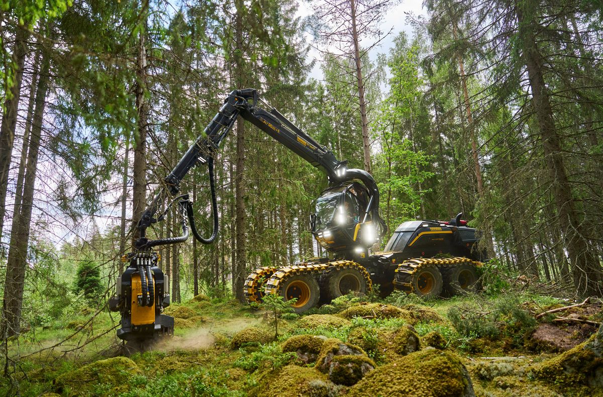 Skogsmaskin med griparm arbetar i tät mossig skog
