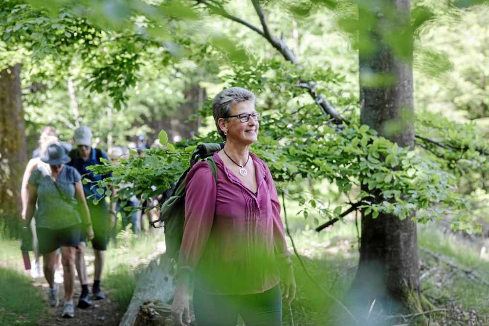 Monica Frangeur leder deltagarna på en vandring genom bokskogen i Maglehem - med flera matpauser.