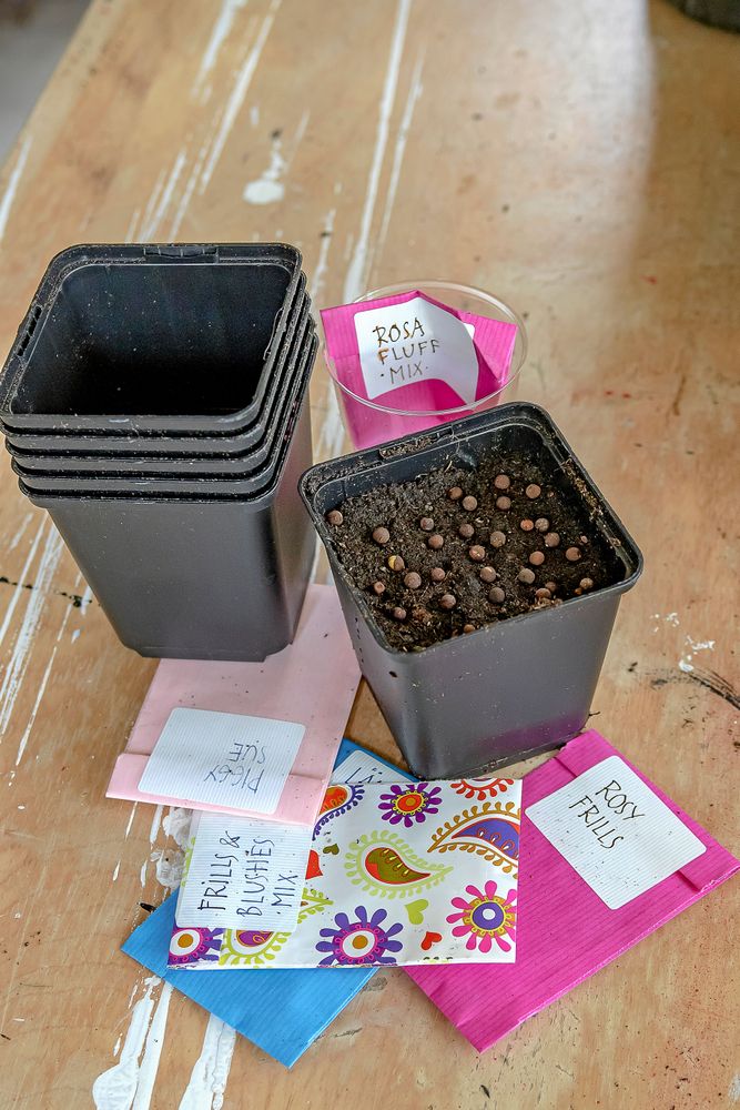 Plastkrukor staplade bredvid sådd kruka och mönstrade fröpåsar