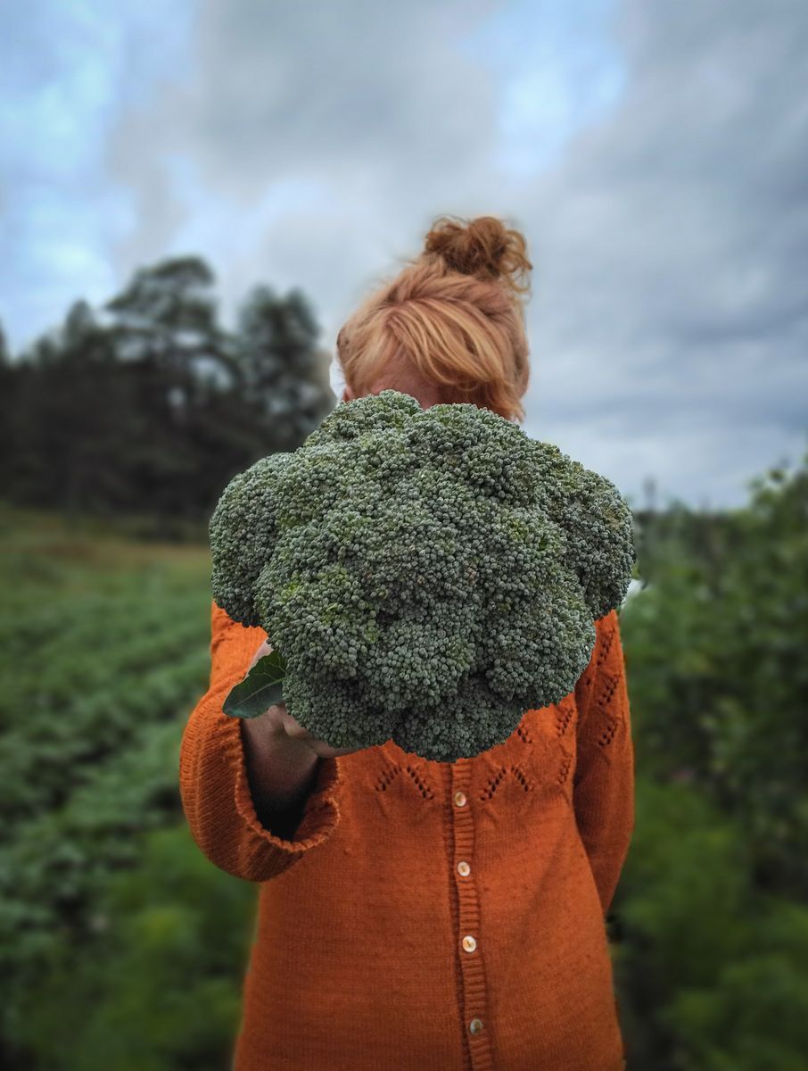 Anne Sandlund i orange tröja håller upp ett stort broccolihuvud utomhus