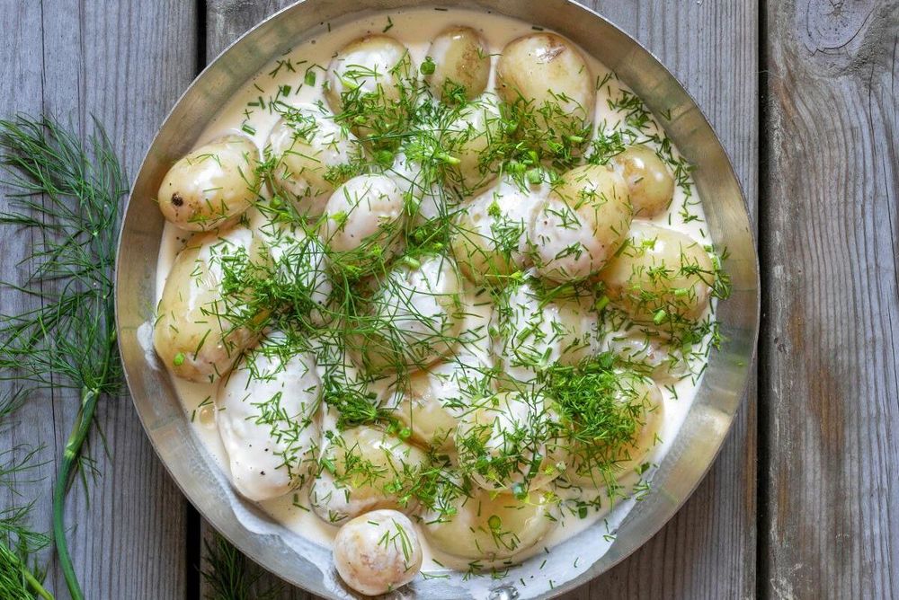 Ost- och dillstuvad potatis