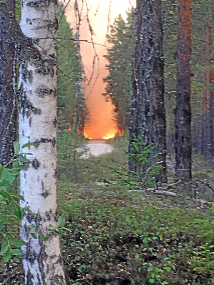 Branden spred sig snabbt i Björn Brinks skog och han var själv med och försökt släcka branden.