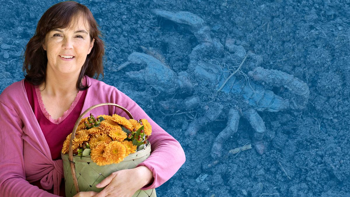 Leende Kristina Bäckström med korg gula blommor framför jord med skorpion