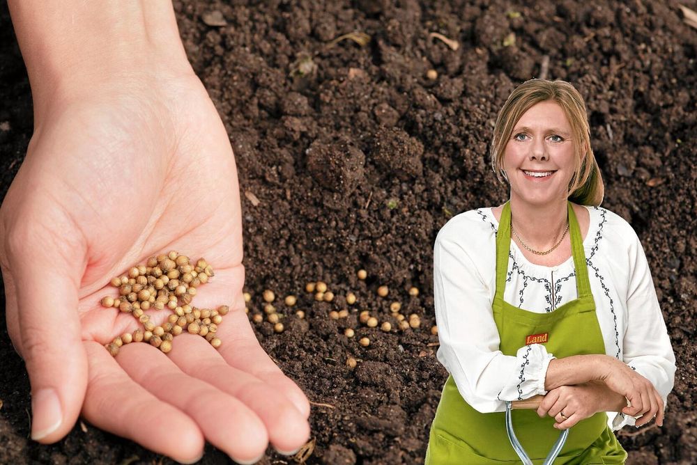 Bella Linde lär dig ta tempen på jorden och så på mer än ett sätt.