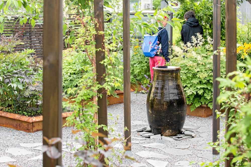 Öppen trädgård-veteranen Ann Enberg i Vuollerim visade upp sin radhusträdgård igen efter att ha bytt gräsmatta och damm mot upphöjda bäddar och grus.