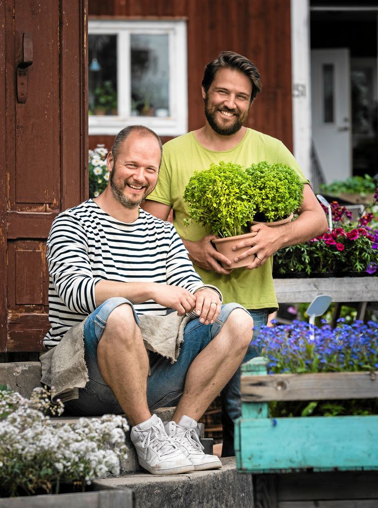 PARHÄSTAR. Andreas Graveleij och André Strömqvist är par i trädgård. Foto: Göran Thorén