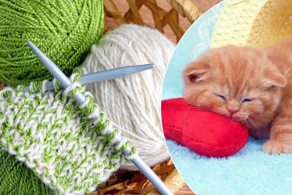 Lätt som en plätt. Gör en liten kudde som katten kan leka med. Foto: Istock