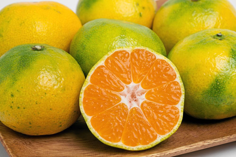 Så skiljer du på klementin, mandarin och satsumas Land