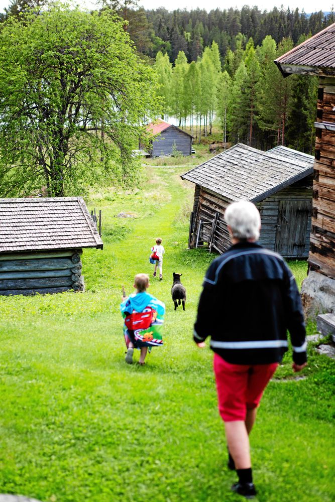 Farmor Gunilla har full sjå att följa efter de pigga barnbarnen, Bo, Sid och Milo.