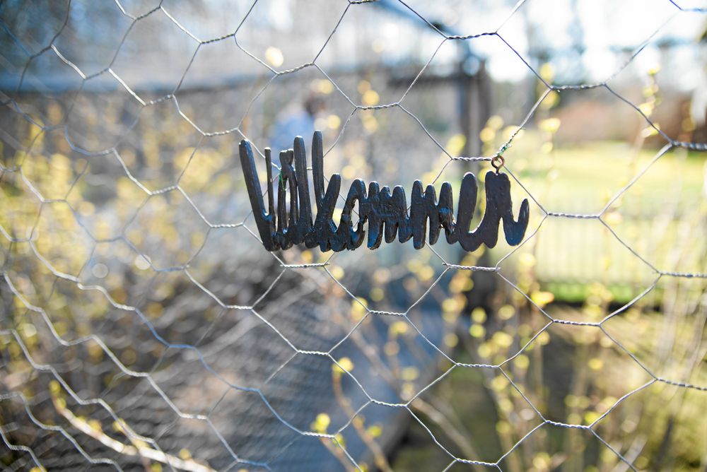 Välkommen till hönsgården på Stämpelgatan. Foto: Pia Gyllin