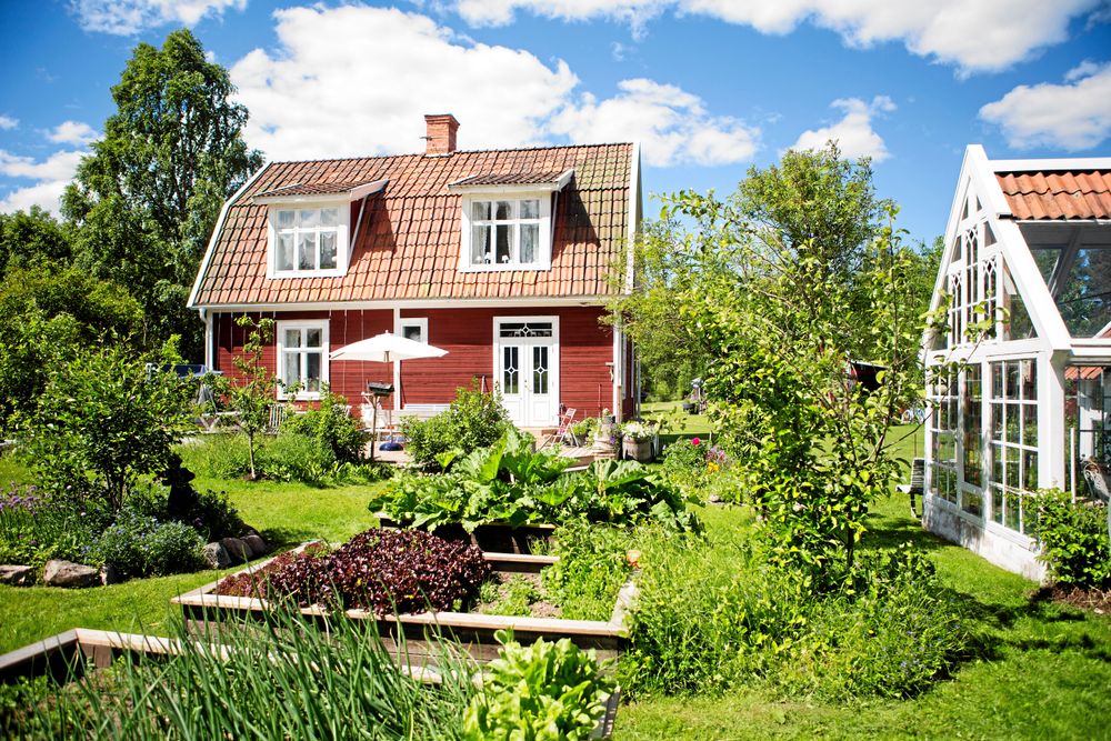 Kika in i Elisabetts härliga och prisade växthus Land