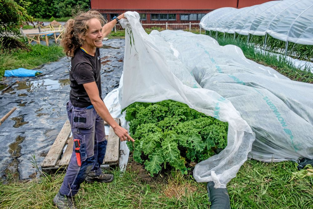 Göteborgs Stad har anställt Klara Hansson för att odla grönsaker på Angereds Gård.