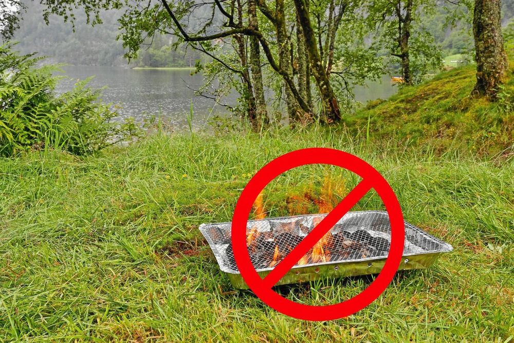 Stopp för engångsgrillar hos Ica. Senast nästa sommar ska de vara ersatta med miljövänligare alternativ.