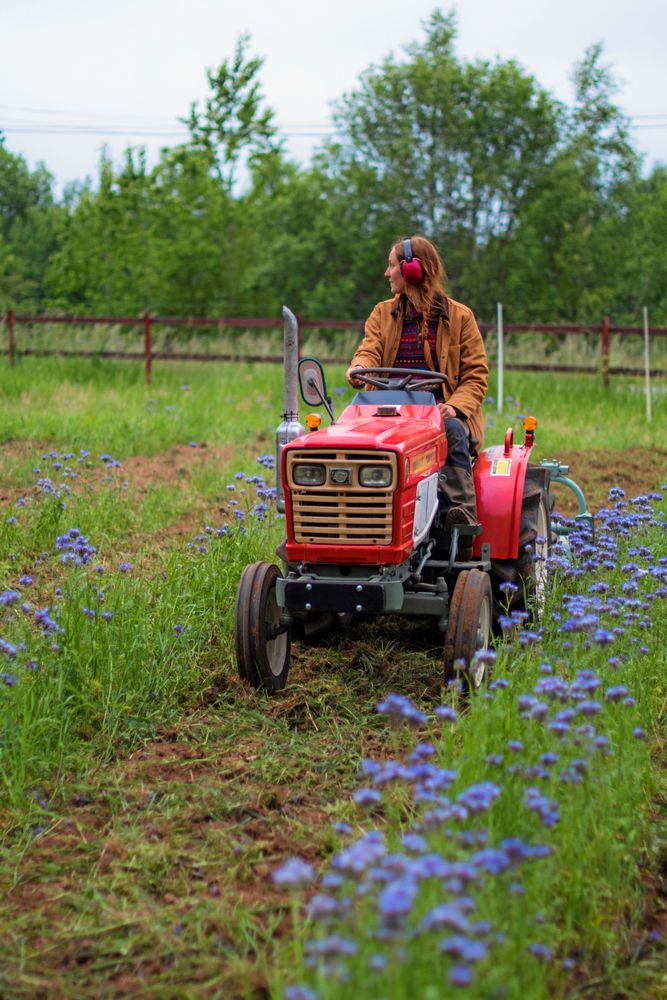 Lovisa i gårdens japanska minitraktor som används till allt från gröngödsling, jordfräsning och transporter.