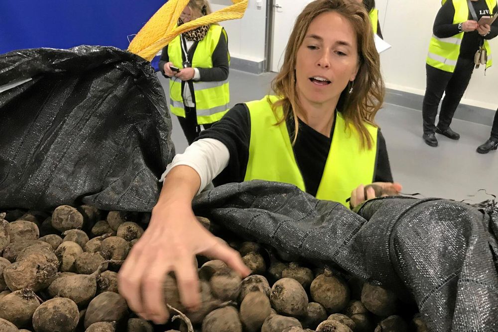 Sara Berger, vd på Sydgrönt som satsat på kylrum och rödbetskokeri i Findus gamla lokaler i Bjuv.