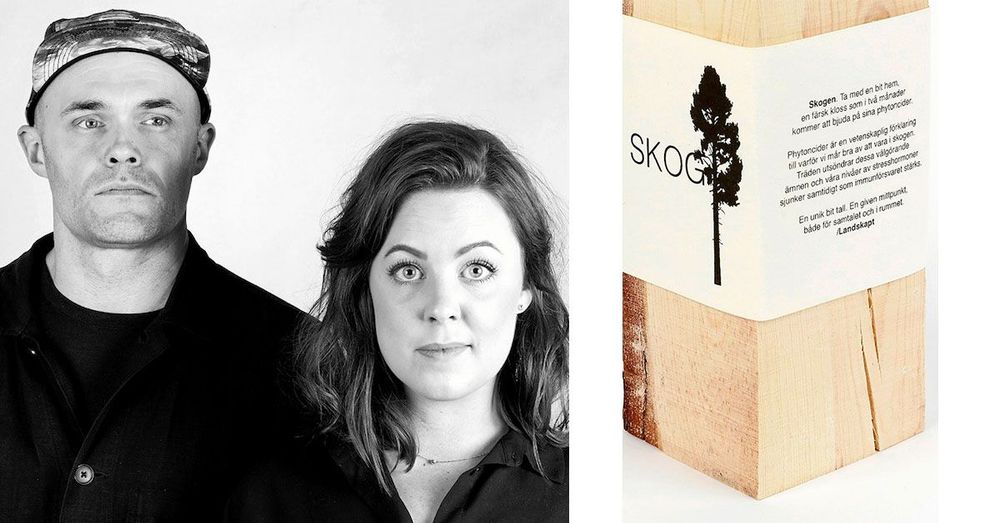 Det fanns bara tio stycken vedträn till försäljning hos Designtorget – och de är nu slutsålda.