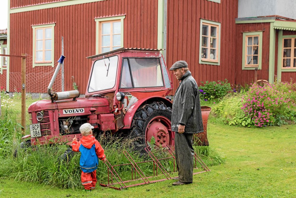 UNG PUBLIK. Valter gillar både blommor och smultron men en trasig traktor som trädgårdspynt slår ändå det mesta. Pappa ser ut att hålla med.