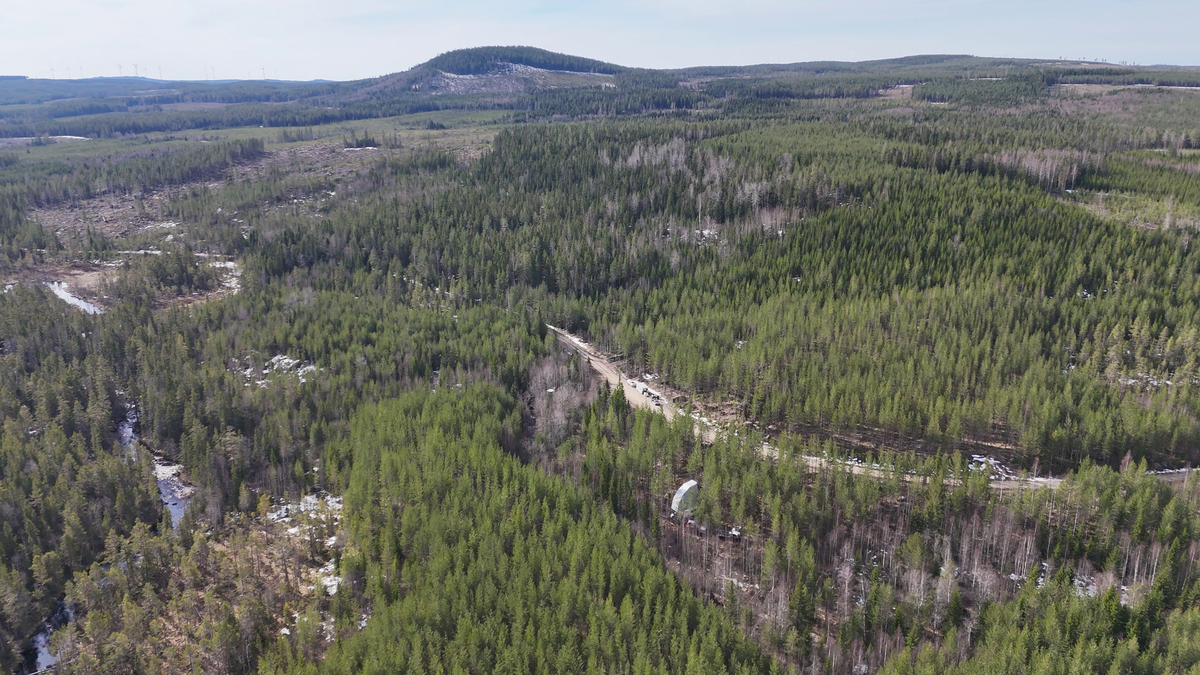 Flygfoto över stort skogsområde med slingrande grusväg genom landskapet