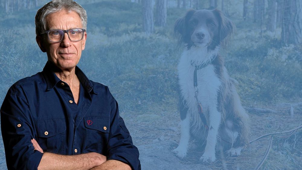 Kollagebild på Håkan Steen och en hund i skogen.
