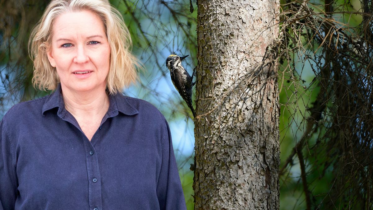 Mycket är sagt och skrivet om familjen Hyttsten och deras kamp. Om äganderätten och artskyddet. Ersättningar och proportionalitet. Nu säger Susanne Öberg sitt i frågan.