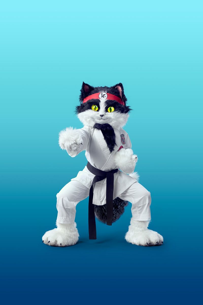 Kattmaskot i karatedräkt och svart bälte poserar mot blå bakgrund