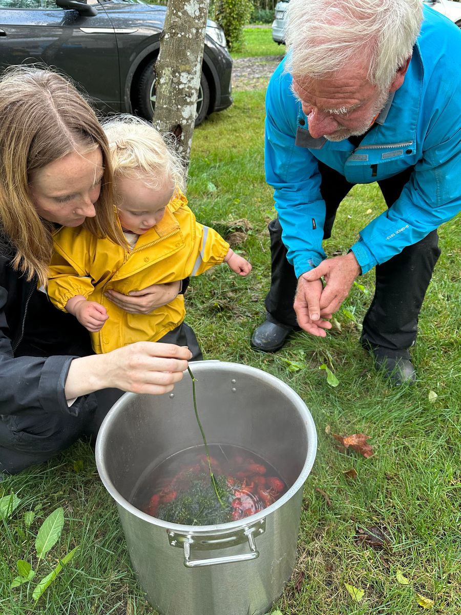 Fyra generationer från familjen Andersson samlas varje år för kräftfiske vid Ätran.