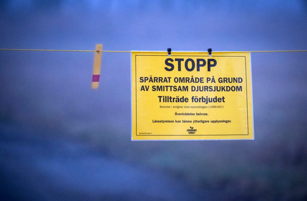 Avspärrningsskylt som informerar om fågelinfluensa.